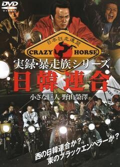 実録･暴走族ｼﾘｰｽﾞ 日韓連合 小さな巨人･野山榮澤